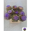 Cynara Sc Green Glob Rauw