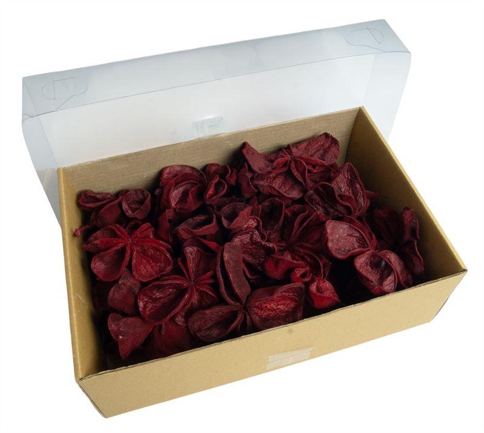 <h4>Land lotus rood</h4>