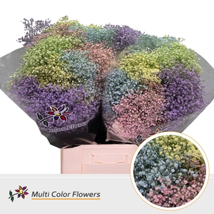 Gyps Fijn Pastel Mix