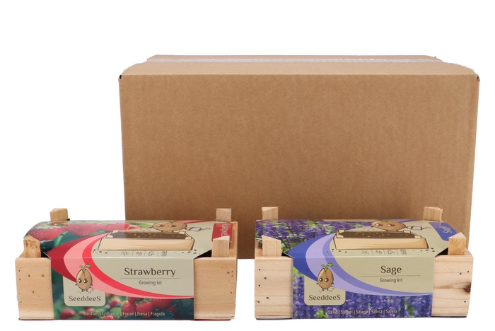 Greengift Strawberry Salvia Mix Box 14x31x8cm