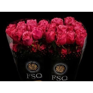 R Gr Cherry Carpe Diem