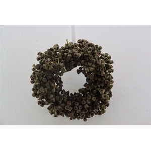 Wr Euca Knobs 25cm Natural