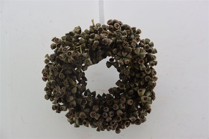 <h4>Wr Euca Knobs 25cm Natural</h4>