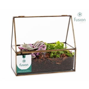Glazen terrarium mini garden met groenen planten