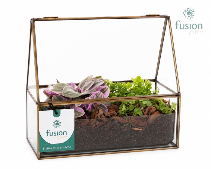 <h4>Glazen terrarium mini garden met groenen planten</h4>