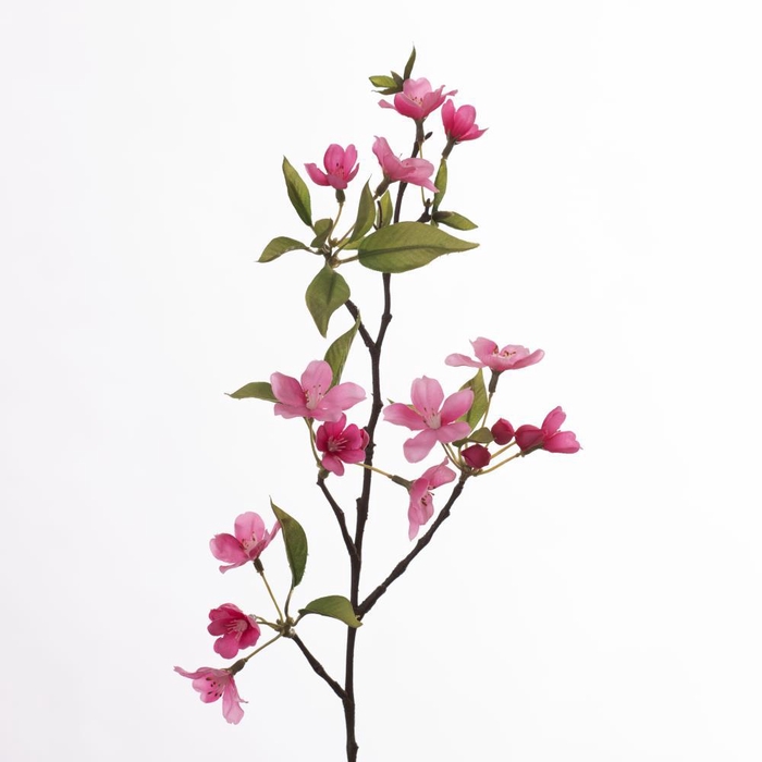 <h4>AF Apple Blossom L58cm Pink</h4>