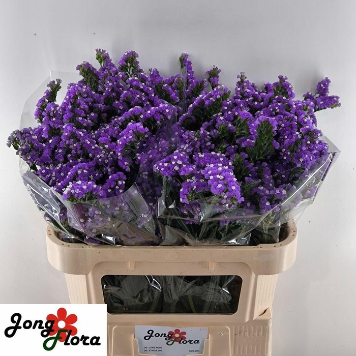 <h4>Lim S Cryst Dark Blu</h4>
