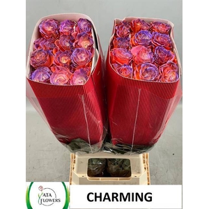 R GR OV KLB H% CHARMING