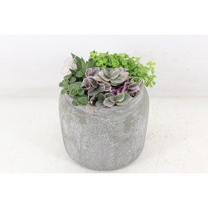 arr3 SN - Ker pot grijs 4pl