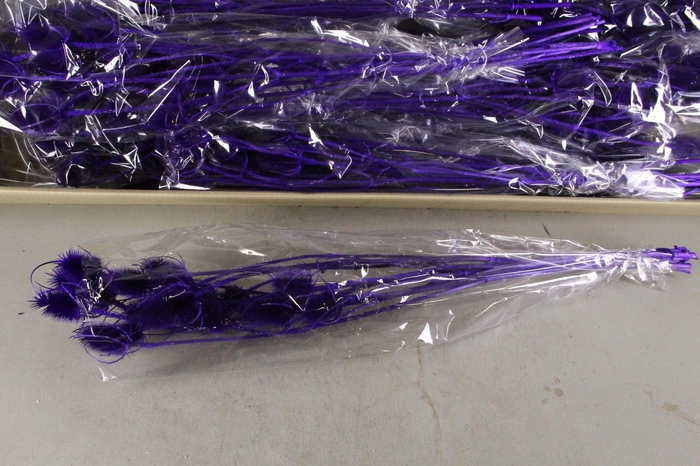 <h4>DF Dipsacus Purple Bs 130g</h4>