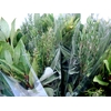 AROMATIC HERBS MIX IN BUNCH 500GR