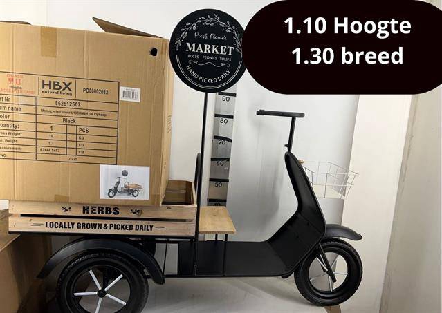 <h4>HUIS EN TUINDECO H%</h4>