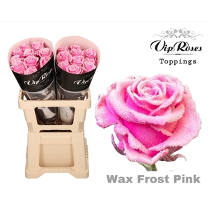 R GR WAX FROST PINK (60CM)