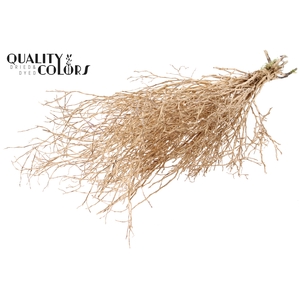 Huckelberry per bunch Antique Gold