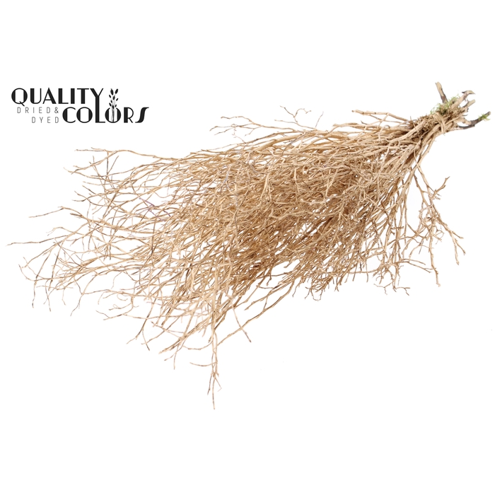 <h4>Huckelberry per bunch Antique Gold</h4>