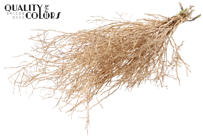 Huckelberry per bunch Antique Gold