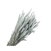 Tarwe Grey Wash