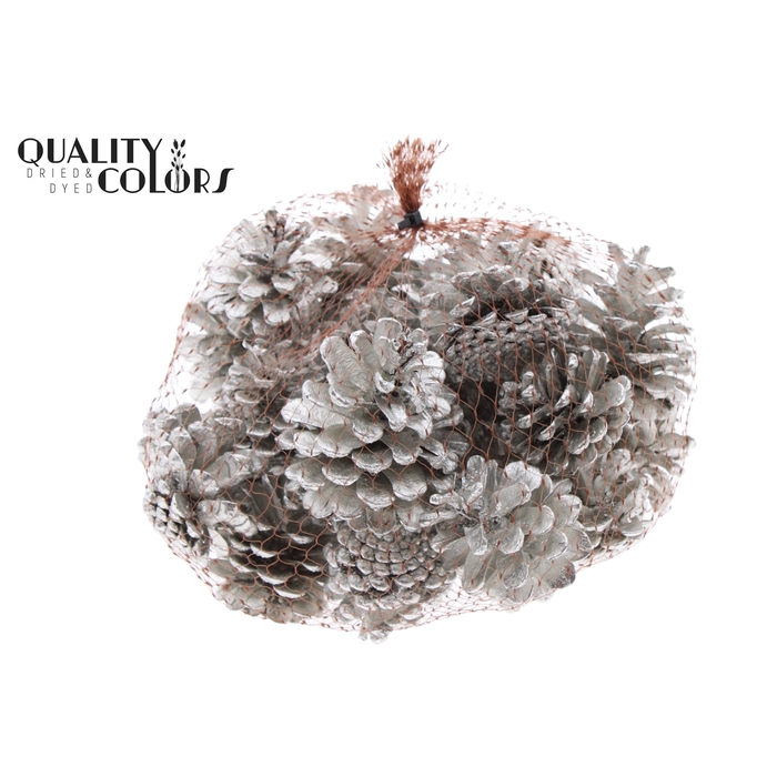 <h4>Pine cone 500gr in net Platina</h4>