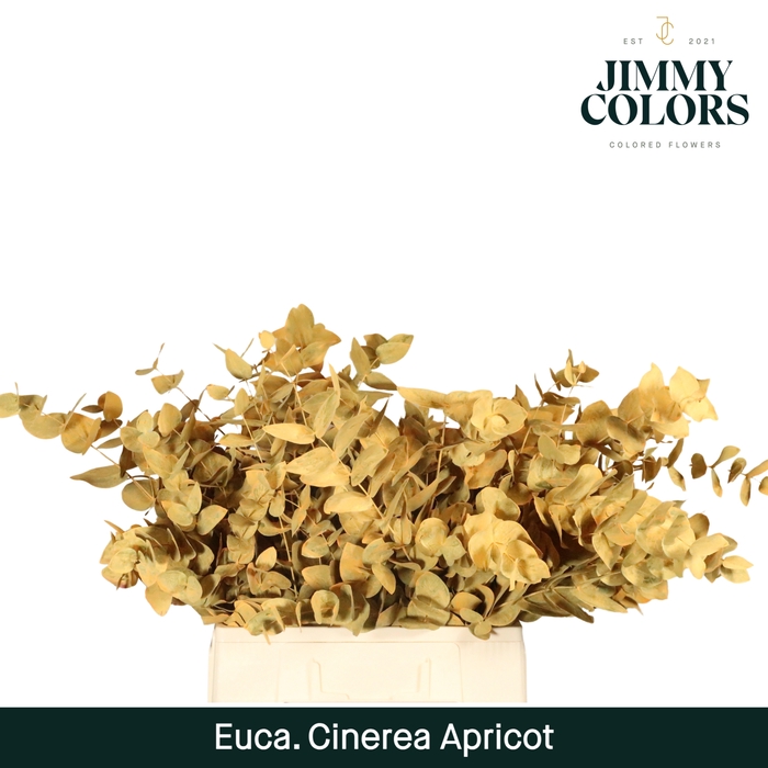 <h4>Cinerea per bos 200g Apricot</h4>