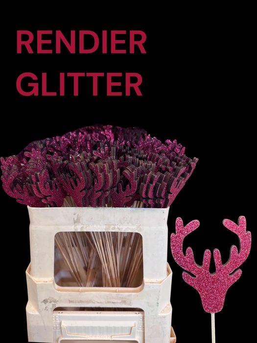 <h4>HUIS EN TUINDECO H%</h4>