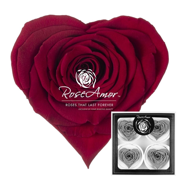 <h4>Corazon Bella Red01</h4>