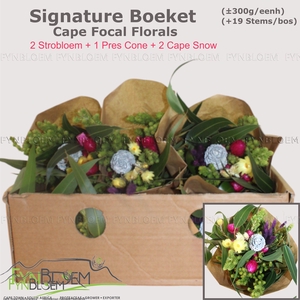 KAAPS GROE GEM IN BS