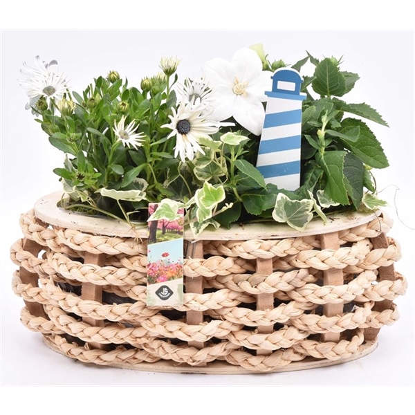 <h4>Hout ovaal met touw 30x12cm</h4>