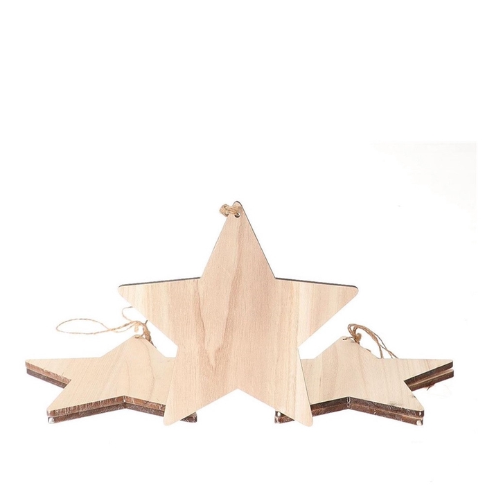 <h4>Kerst Deco hanger ster 25cm x5</h4>