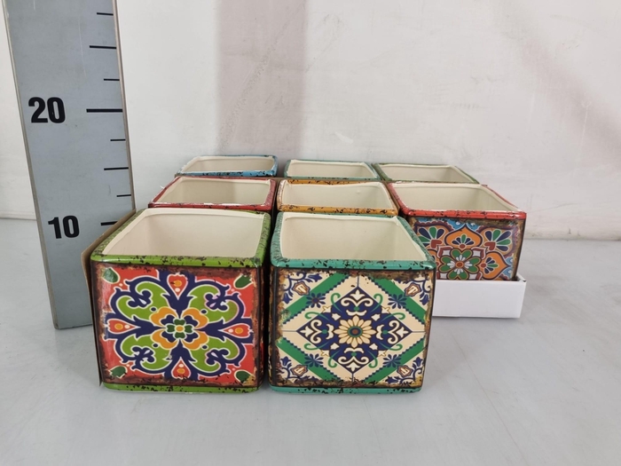 <h4>HUIS EN TUINDECO H%</h4>