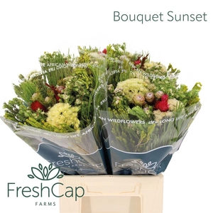 KAAPS GROE GEM IN BS