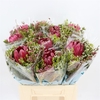 Bouquet Hybrid Single Protea