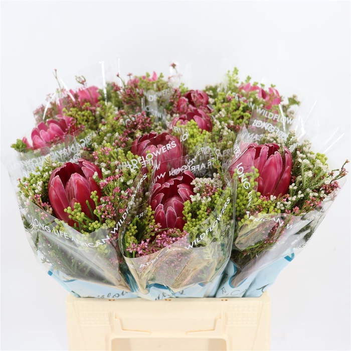 Bouquet Hybrid Single Protea