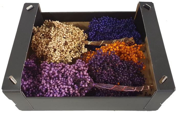 Pepperberries per bunch in poly Mixed colours Autumn