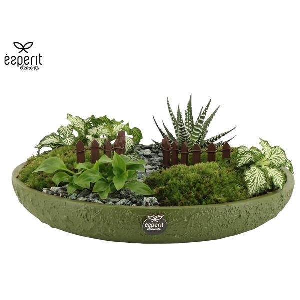 <h4>Arrangementen kamerplanten H%</h4>