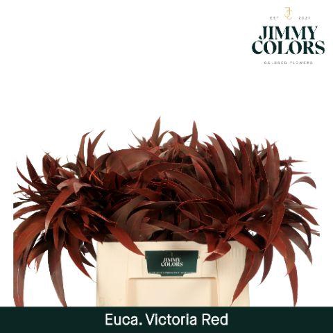 <h4>Victoriablad gekleurd Klbh. Rood</h4>