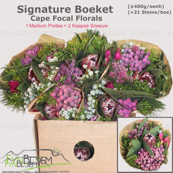 <h4>PROTEA PER BOS</h4>