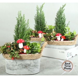 ARR TUINPLANTEN