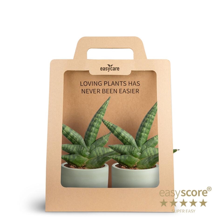 <h4>2-Pack Woodbase, Boncellensis P7</h4>