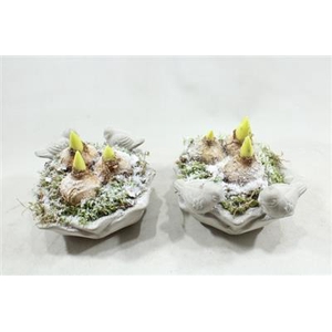 2573 Hyac Drinkschaal