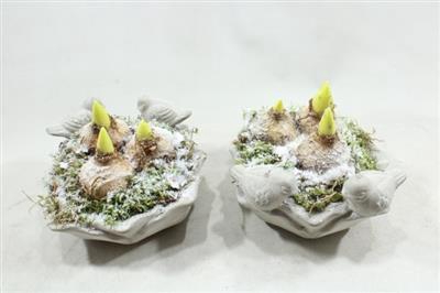 <h4>2061 Hyac Drinkschaal</h4>