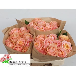 R GR PEACH FUNKY+