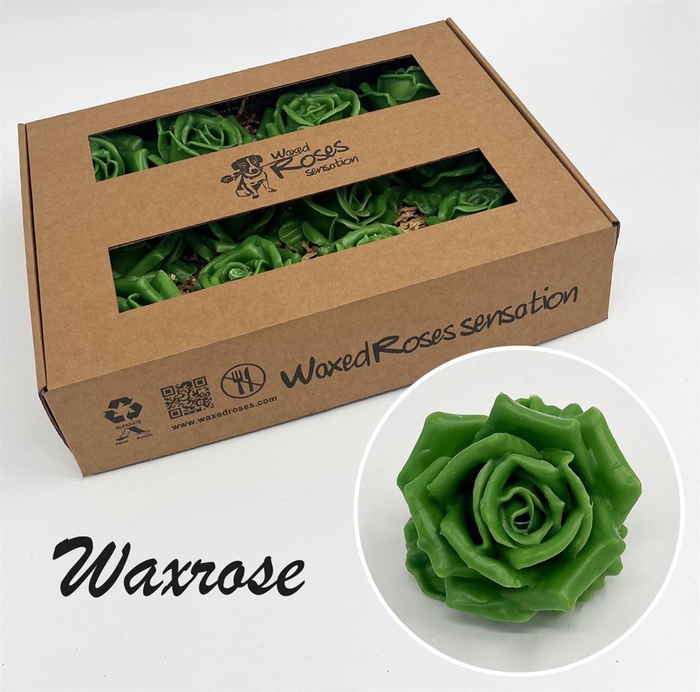 <h4>Zijde R Wx Groen</h4>