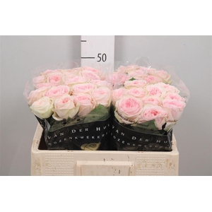 R Gr Bal Summerhouse