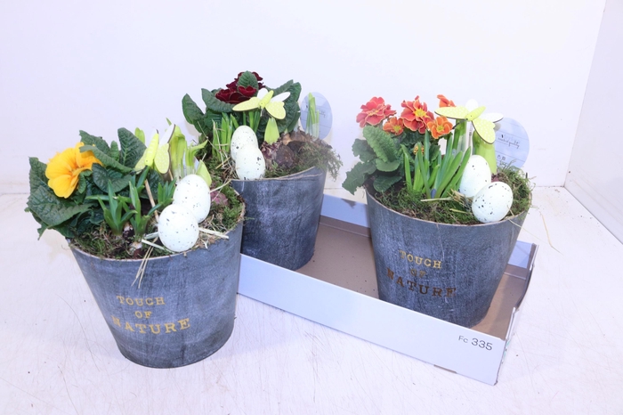 <h4>ARR TUINPLANTEN</h4>