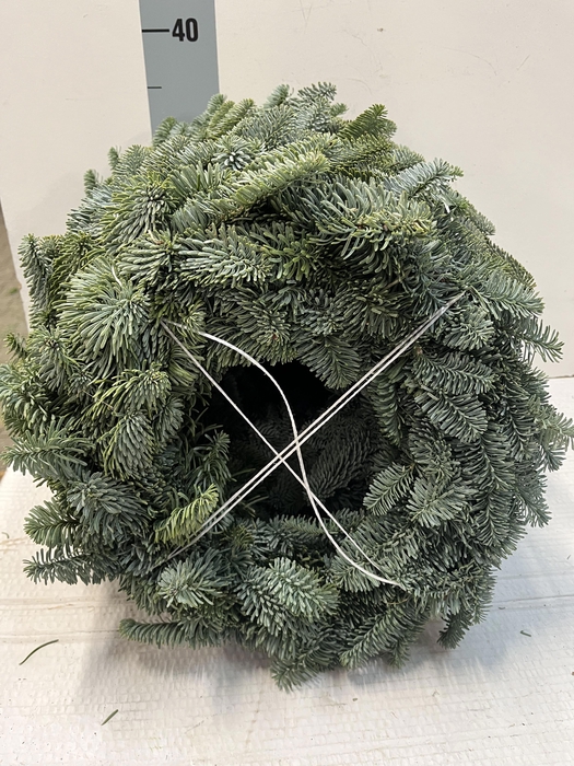 <h4>KRANS ABIES NOBILIS</h4>