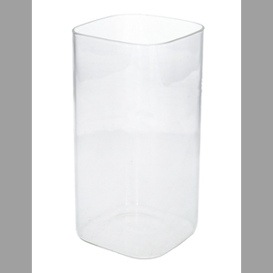 DF01-666564100 - Vase Rienzi 10x10x20 clear