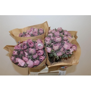 Anem Marianne Powder Wine Red