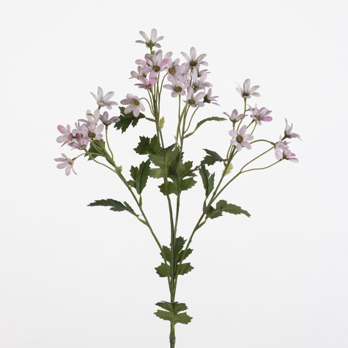 <h4>AF Matricaria spray L65cm l.pi</h4>