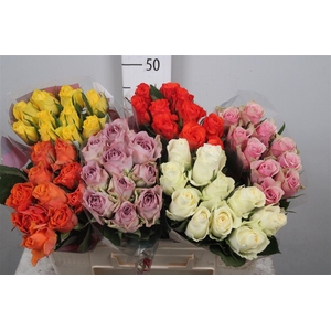 R Gr Gemengd In Fust B1