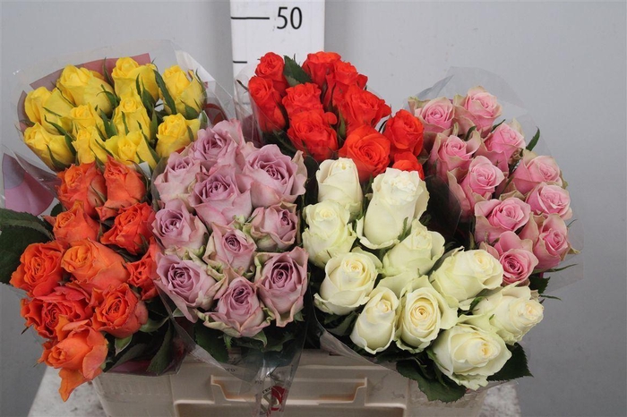 R Gr Gemengd In Fust B1